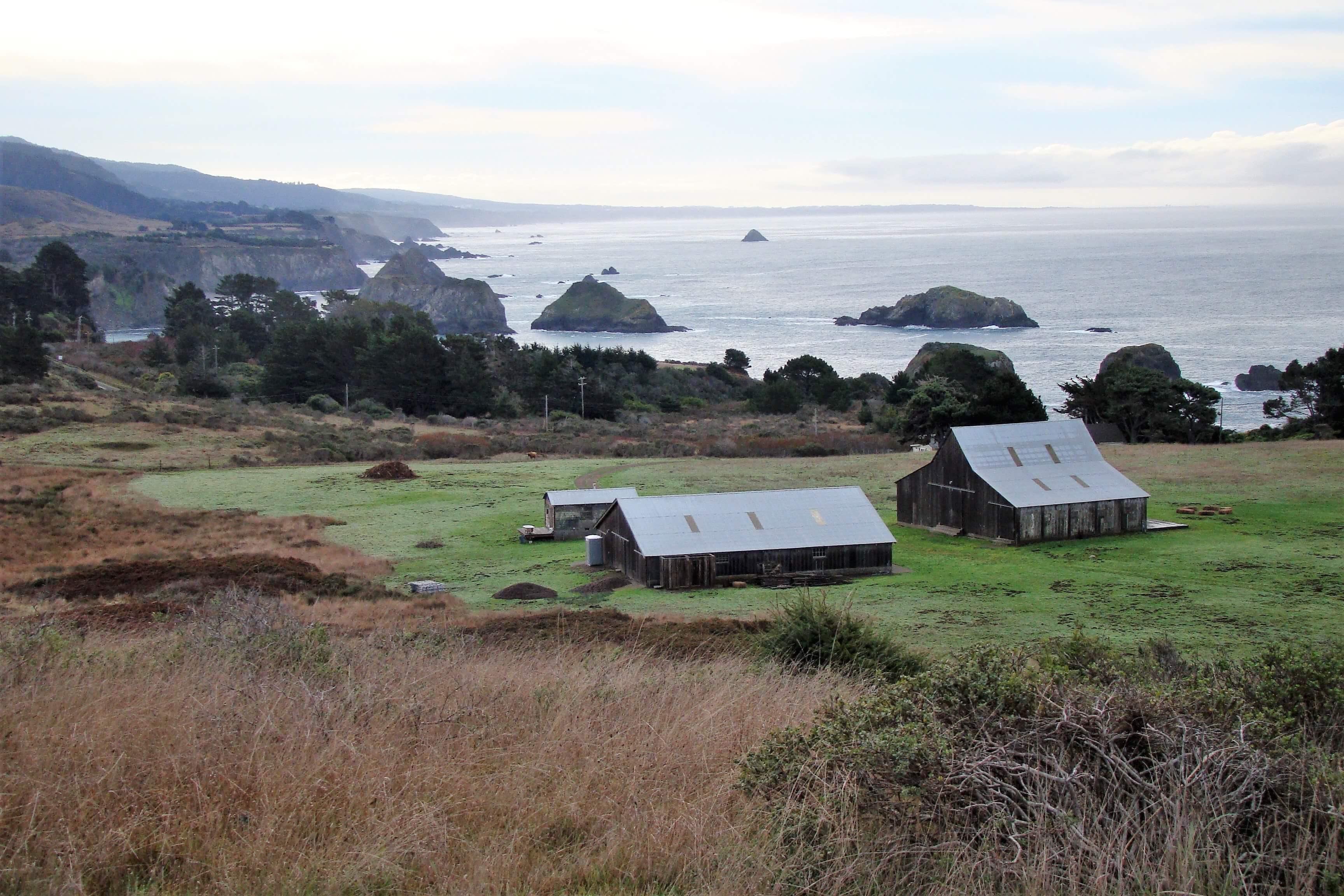 The Wedding Website of Julia Gray and Logan Ornbaun