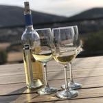 Entre Santos Bodegas de Santo Tomás