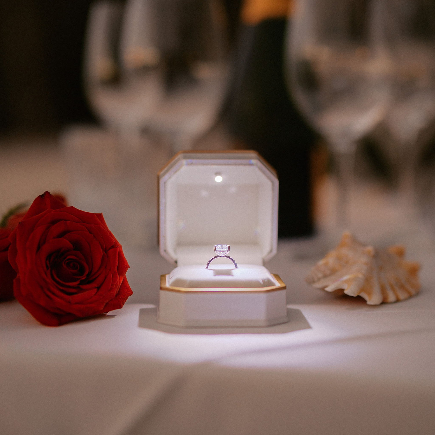 Sara and Michael engagement — photo b2f64502