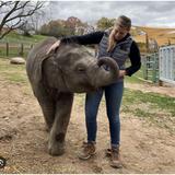 Rosamond Gifford Zoo