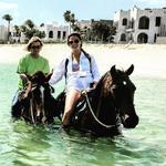Seaside Stables Anguilla