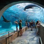 Saint Louis Zoo