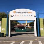 Seneca Park Zoo