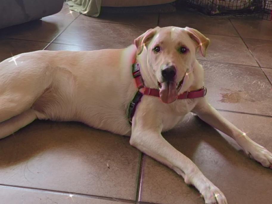 The Wedding Website of Katie Gibson and Kade Lampman