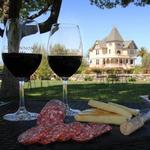Concannon Vineyard