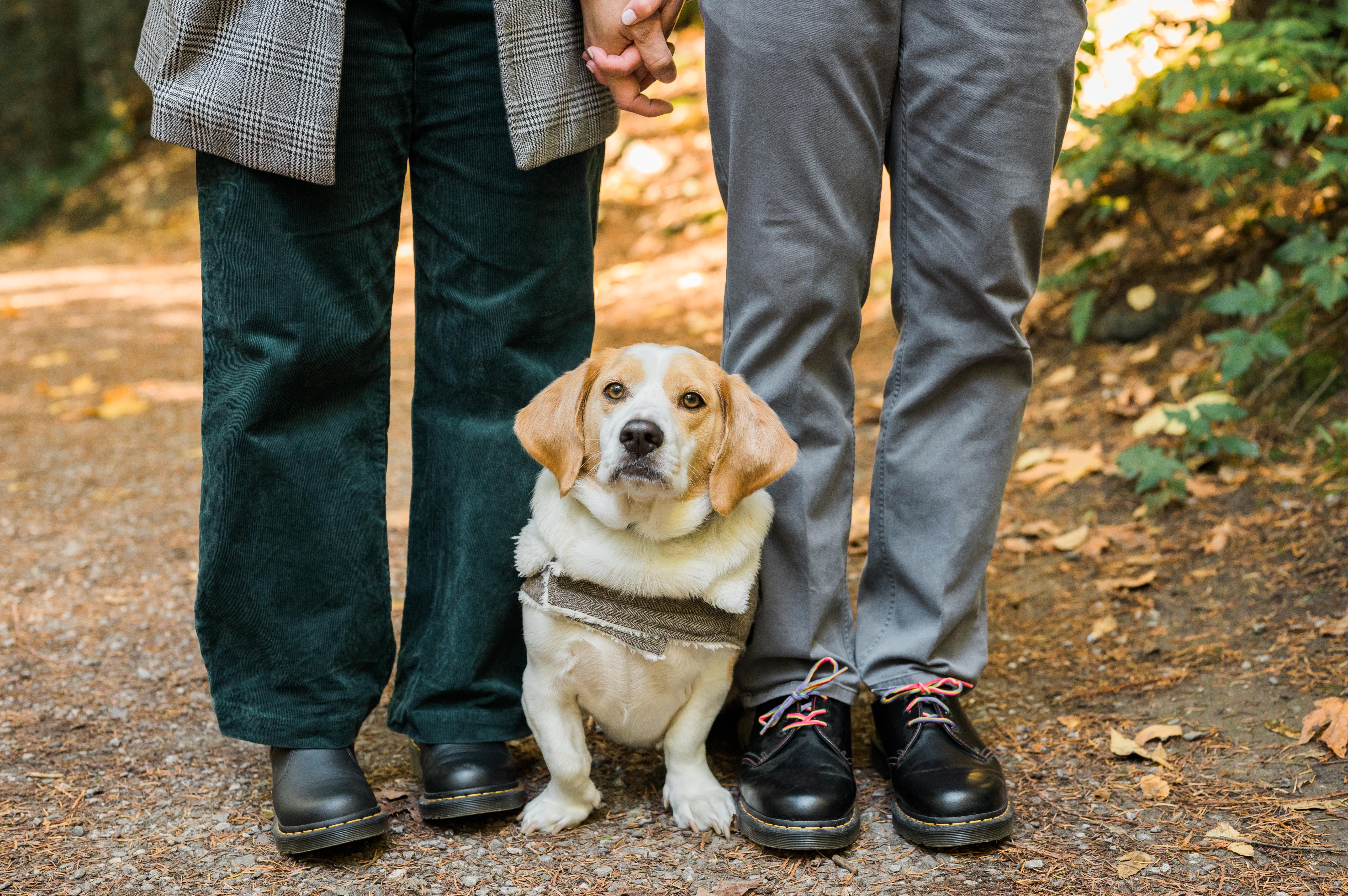 The Wedding Website of Michael Pham and Christine Lew