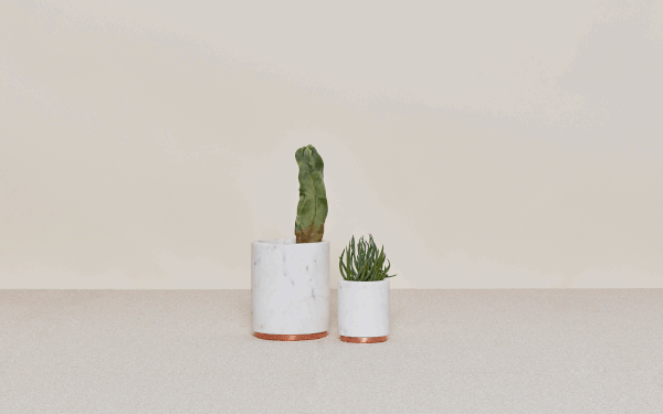 MARA UTILITY PLANTER