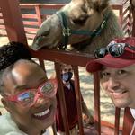 Memphis Zoo Aquarium