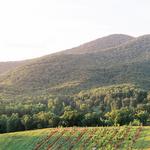 Dahlonega Resort and Vineyard