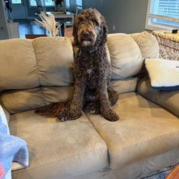 Couch Fund