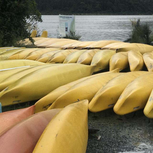 Canoe Rental