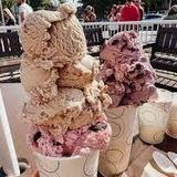 Nelson's Ice Cream