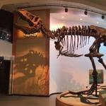 Royal Saskatchewan Museum