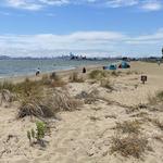 Robert W. Crown Memorial State Beach