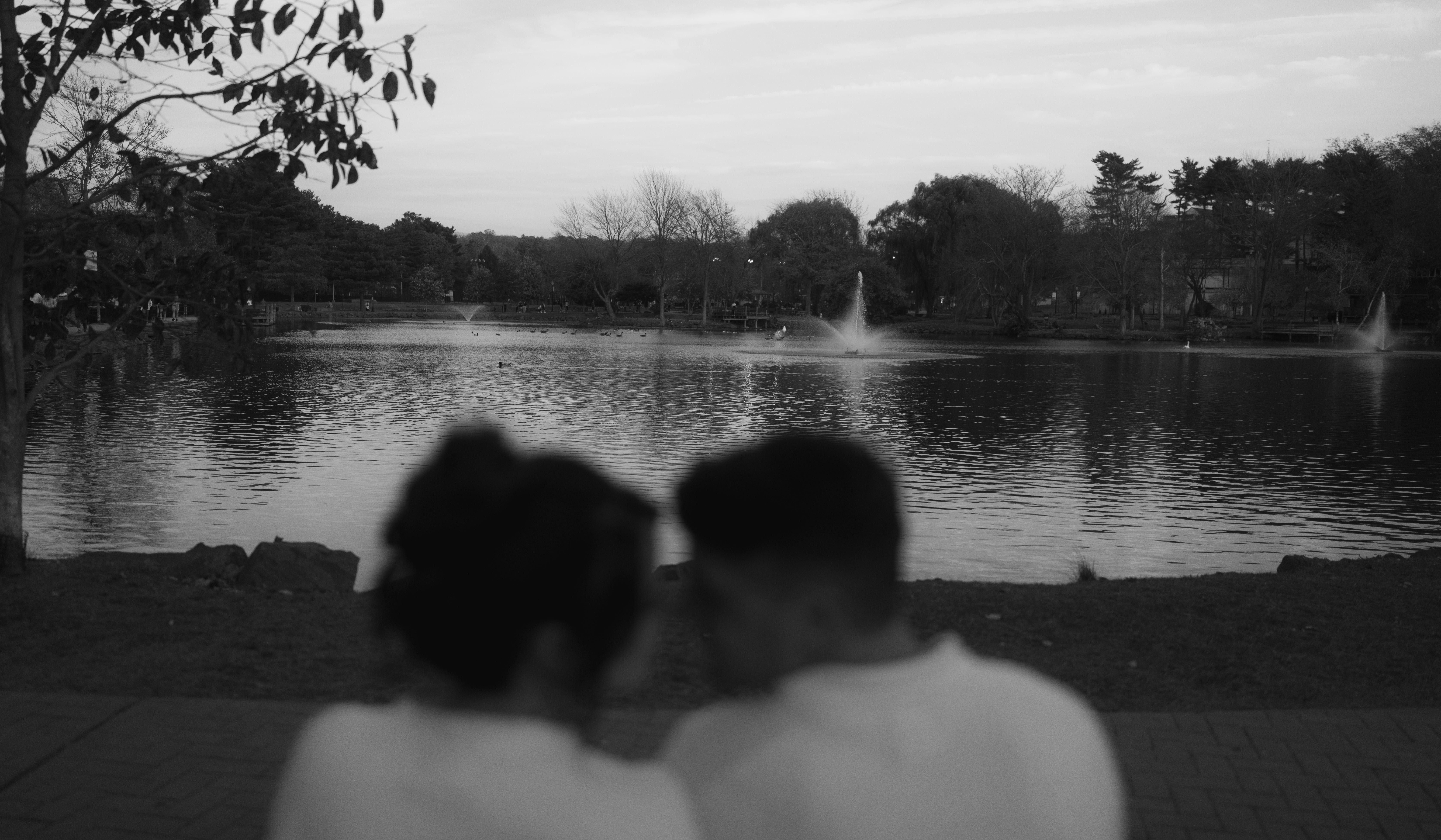 Hero Slideshow Image 4