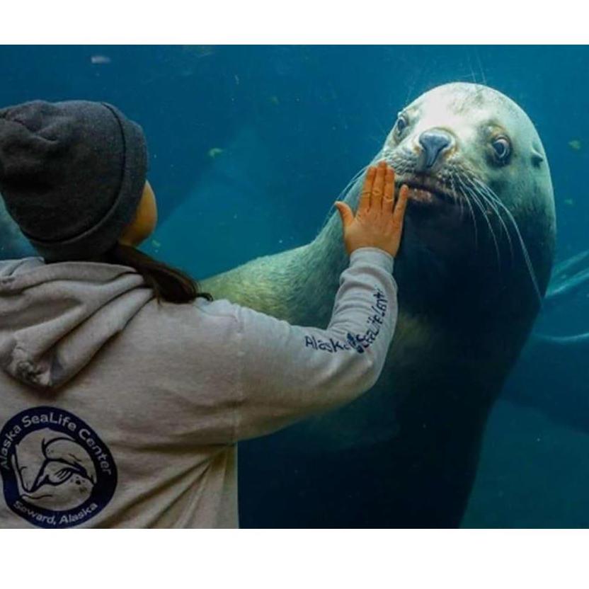 Alaska Sea Life Center