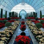 Como Park Zoo & Conservatory