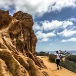 Torrey Pines State Natural Reserve