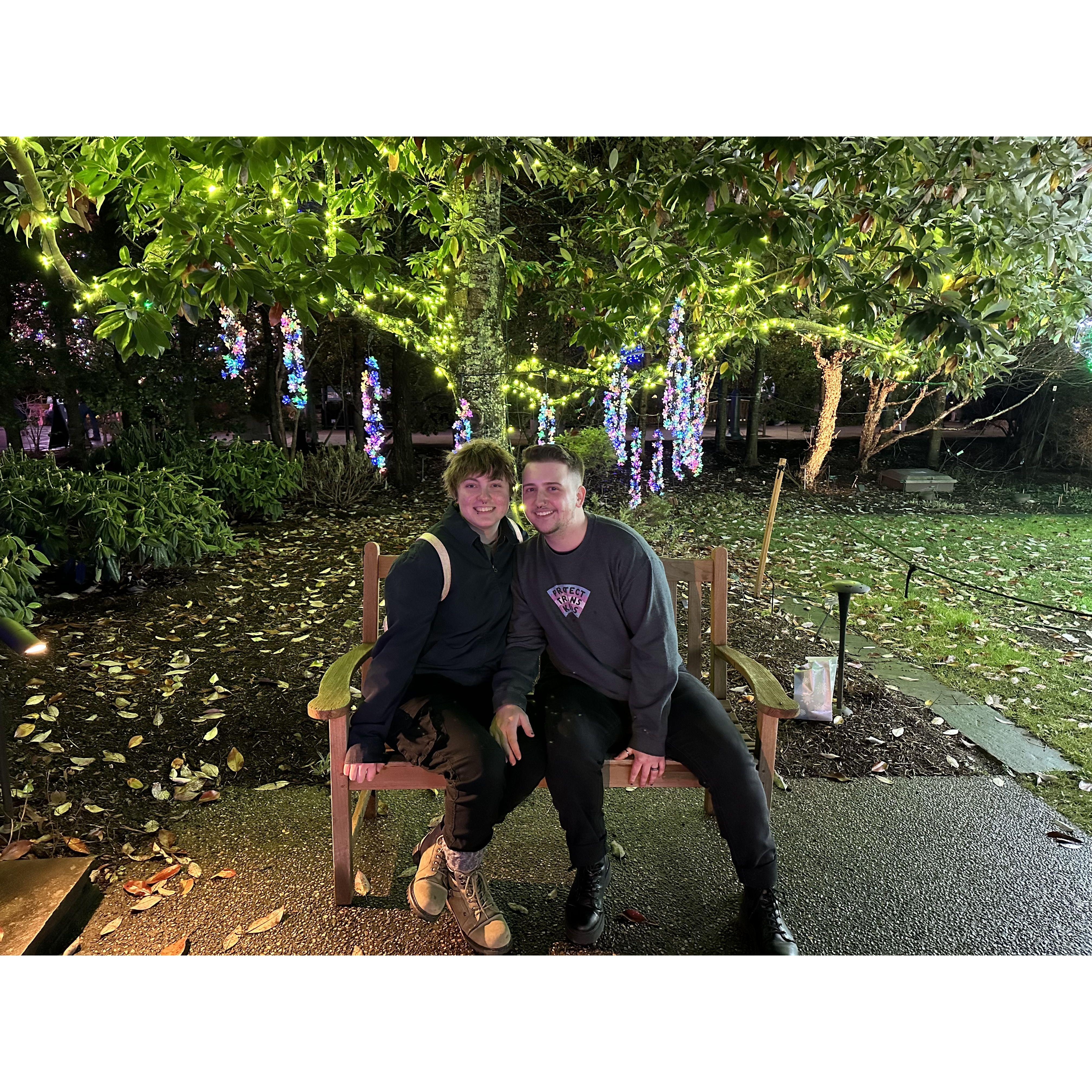 Winter Lights at Asheville Arboretum