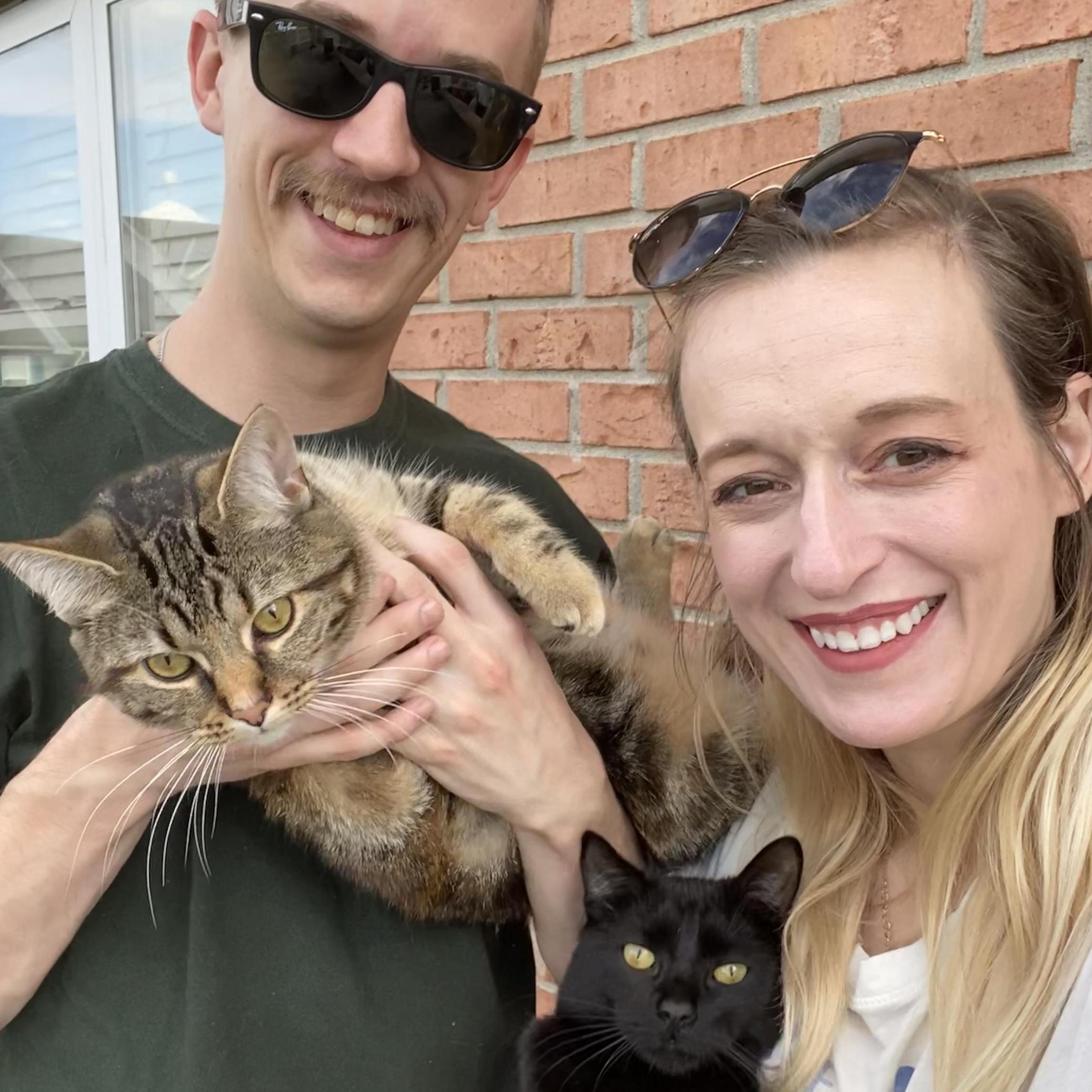 05.22.20  |  Cats.