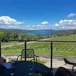 Living Roots Finger Lakes