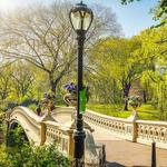 Central Park