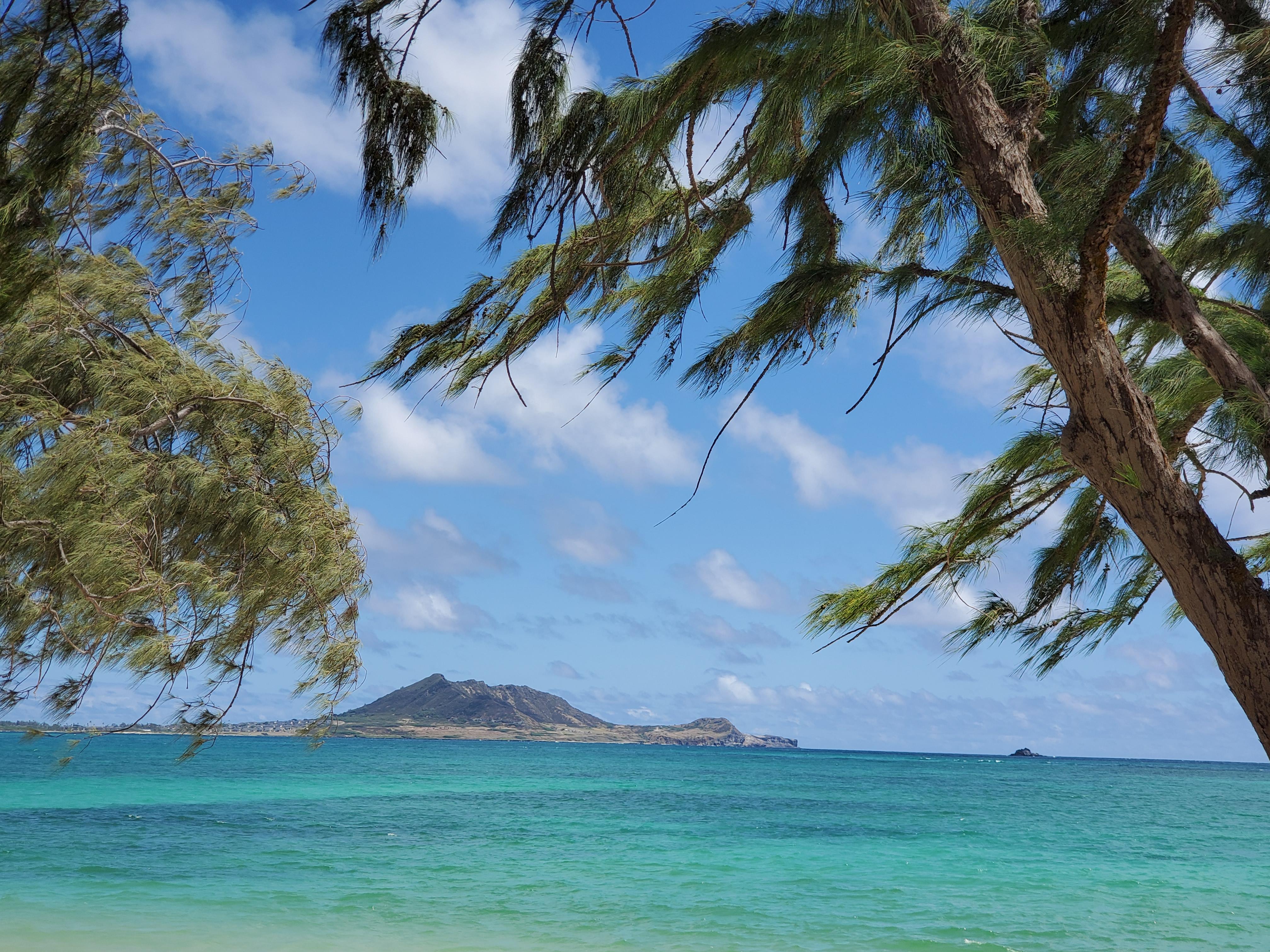 b30ca1ac-e53d-457f-bc30-a2dc87059bc5