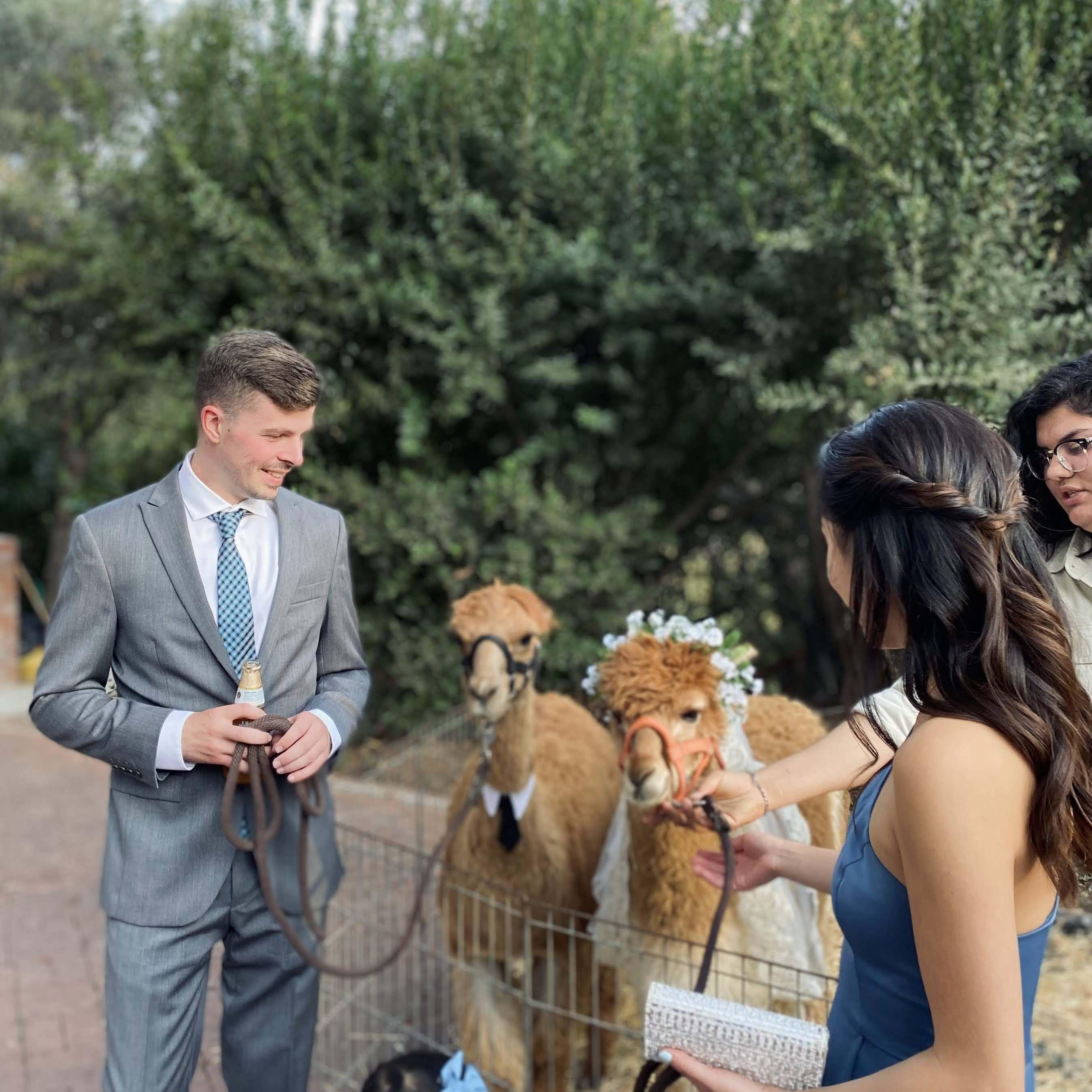Collecting inspiration for our wedding looks