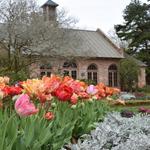 LSU AgCenter Botanic Gardens