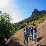 Malibu Wine Hikes