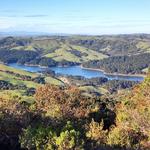 Tilden Regional Park
