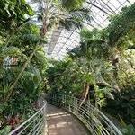 Krohn Conservatory