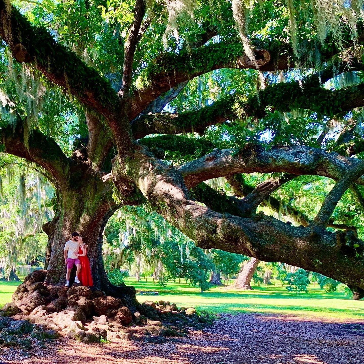 We got engaged in Audubon Park in New Orleans.
