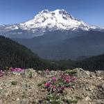 Glacier View Trail