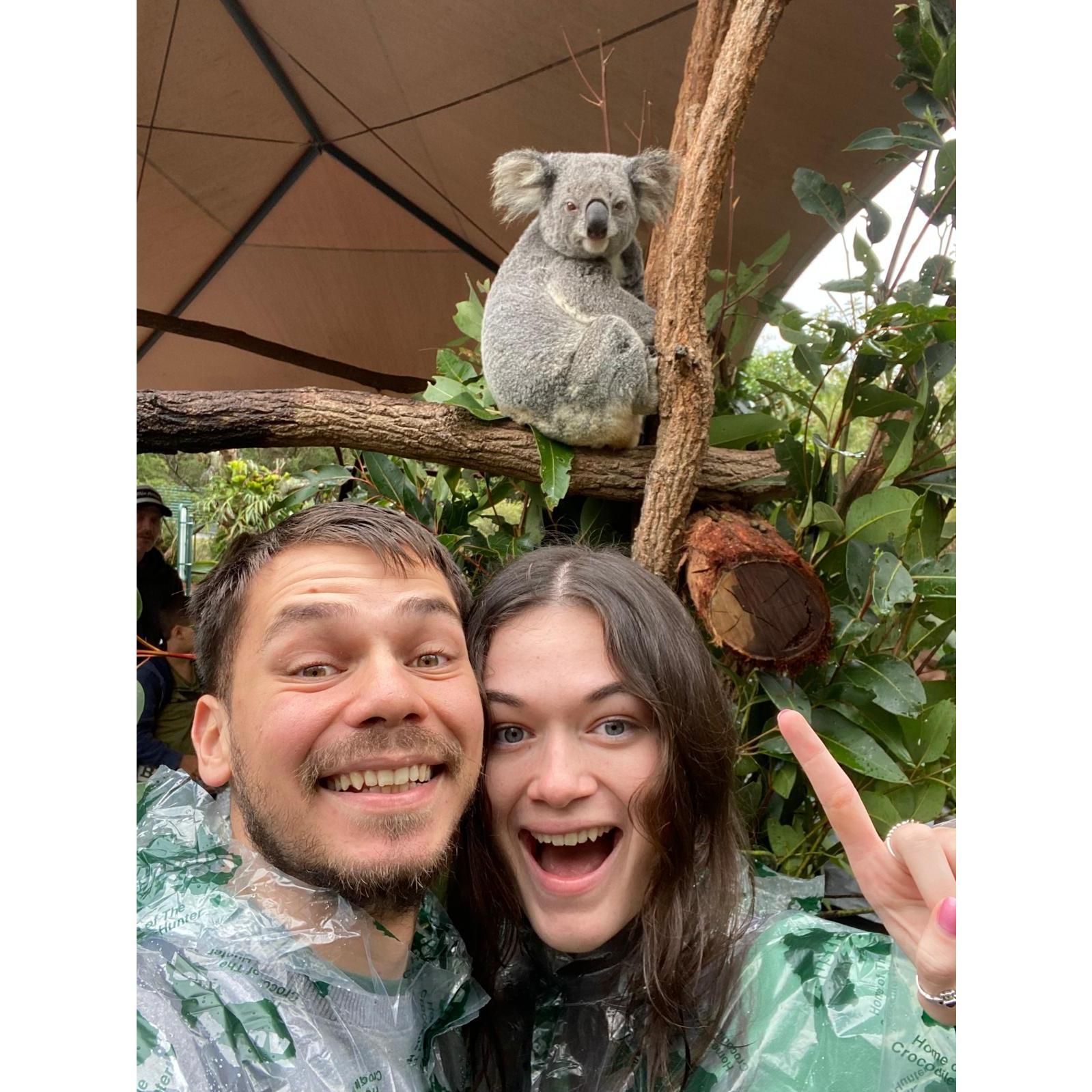 Manu's first time seeing a koala at Australia zoo!