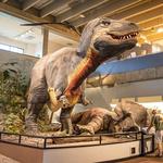 Saint Louis Science Center