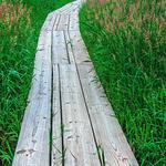 Trail Around Middlebury