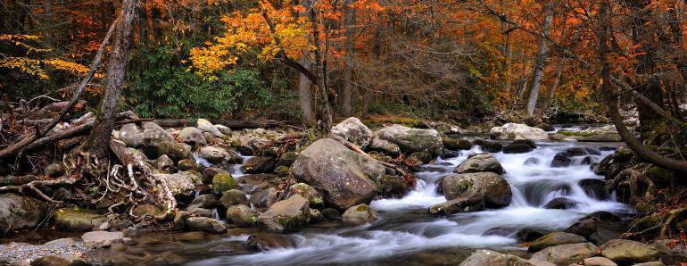 b3169469-f1af-4d9d-8e00-92a7813710e7