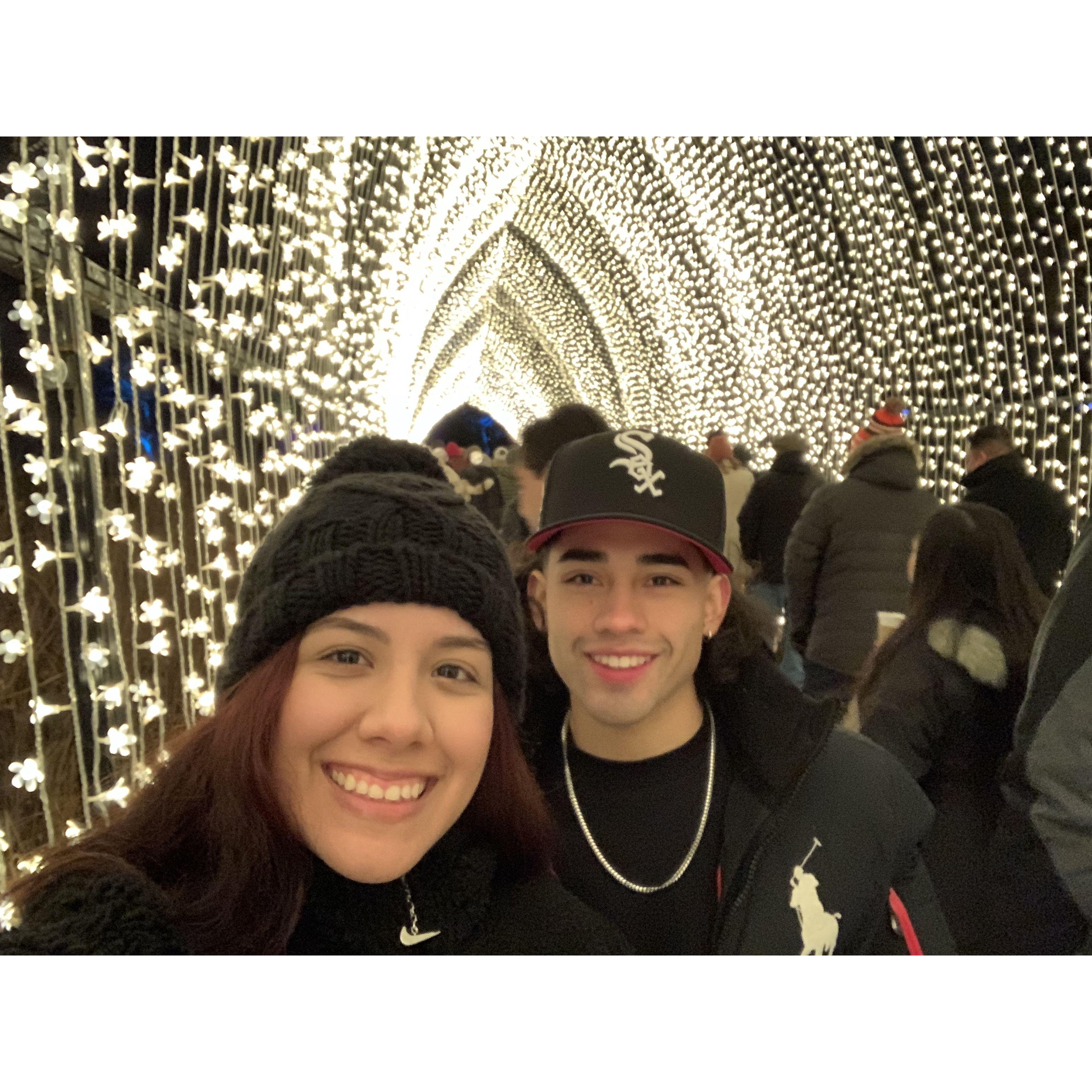 Botanic Lights