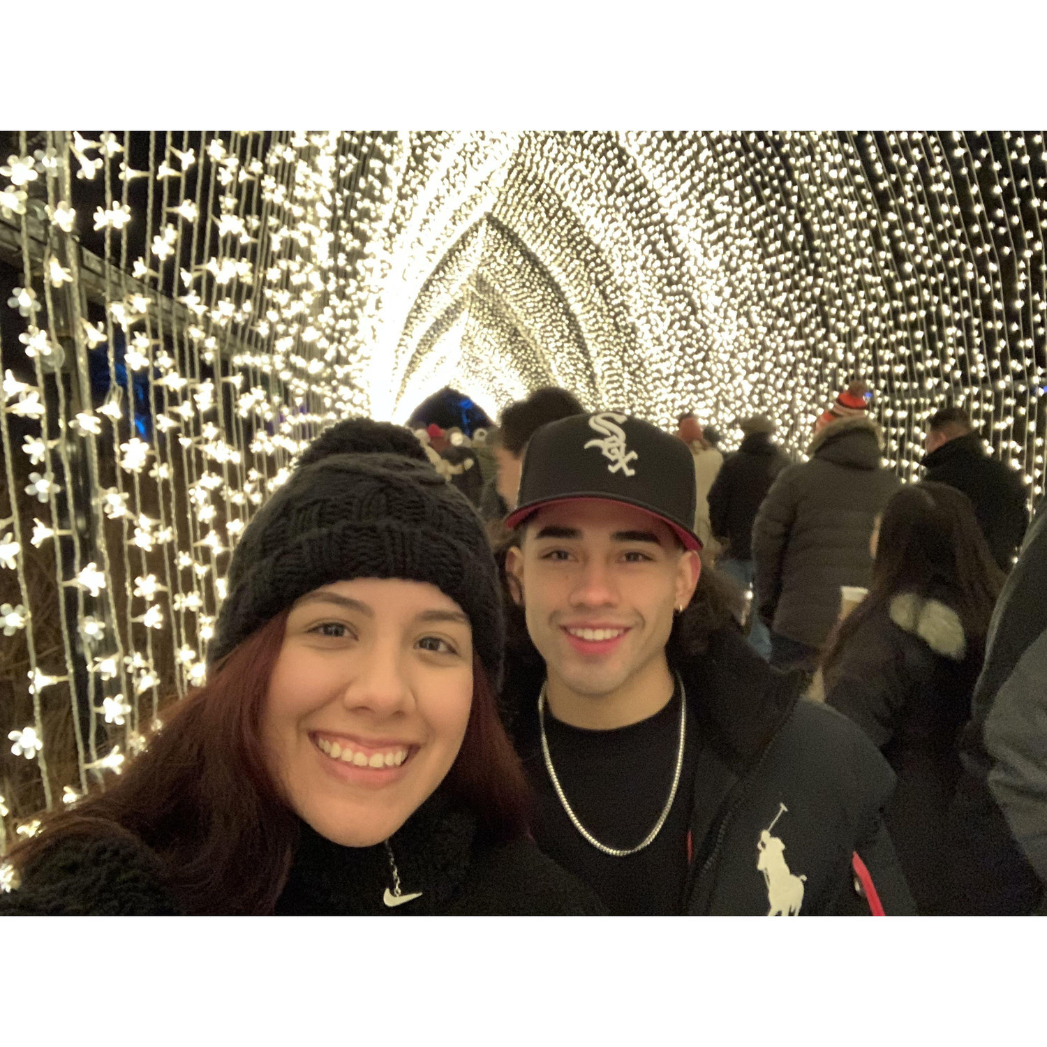 Botanic Lights