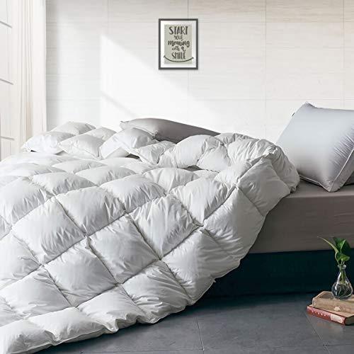 APSMILE Heavyweight European Goose Down Comforter for Winter Colder Weather/Sleeper - 1600TC Ultra-Soft Egyptian Cotton, 65Oz 750 Fill Power Thicker Duvet Insert(White, King)