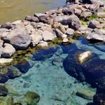 Manby and Black Rock Hot Springs