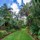 Mounts Botanical Garden