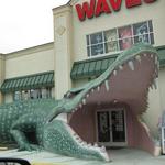 Waves Surf & Sport