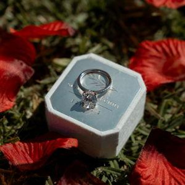 Our Honeymoon Fund