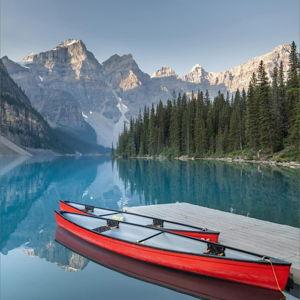 Honeymoon Road Trip!