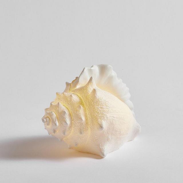 Lit Coastal Object, Conch - White
