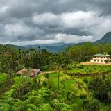 Coorg