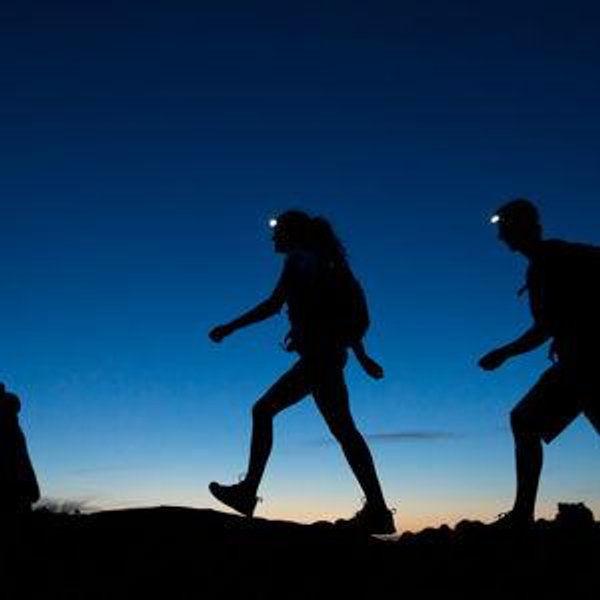 Guided Night Hike in Belize
