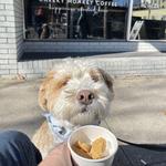Maroon Monkey Coffee